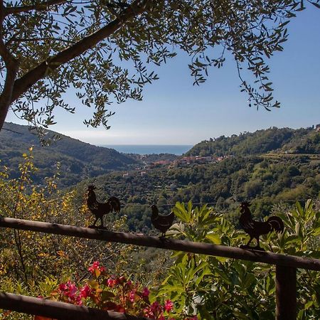 Pietrantica - Affittacamere Con Giardino Nuova Apertura A Trebiano -Citr Eksteriør billede