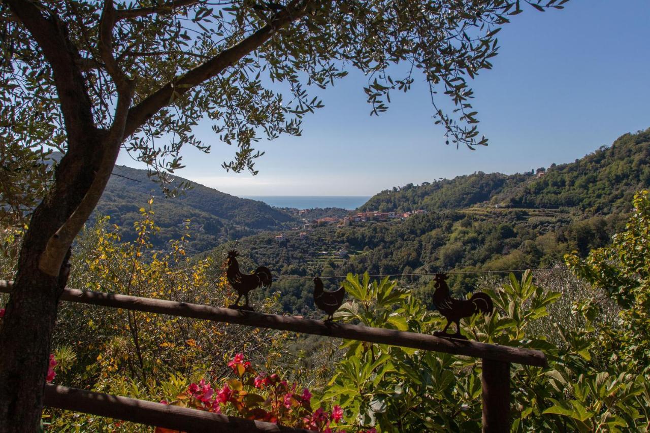 Pietrantica - Affittacamere Con Giardino Nuova Apertura A Trebiano -Citr Eksteriør billede