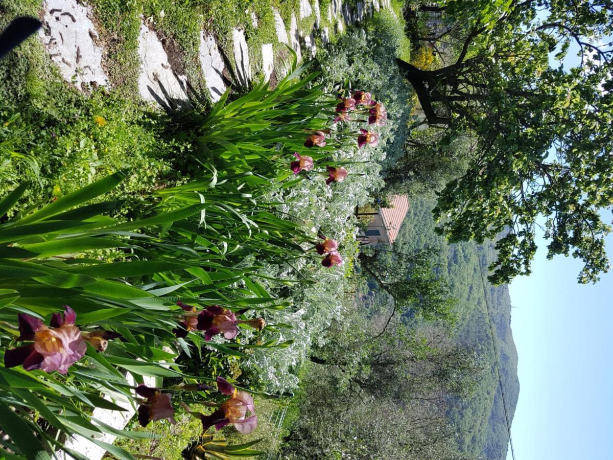 Pietrantica - Affittacamere Con Giardino Nuova Apertura A Trebiano -Citr Eksteriør billede