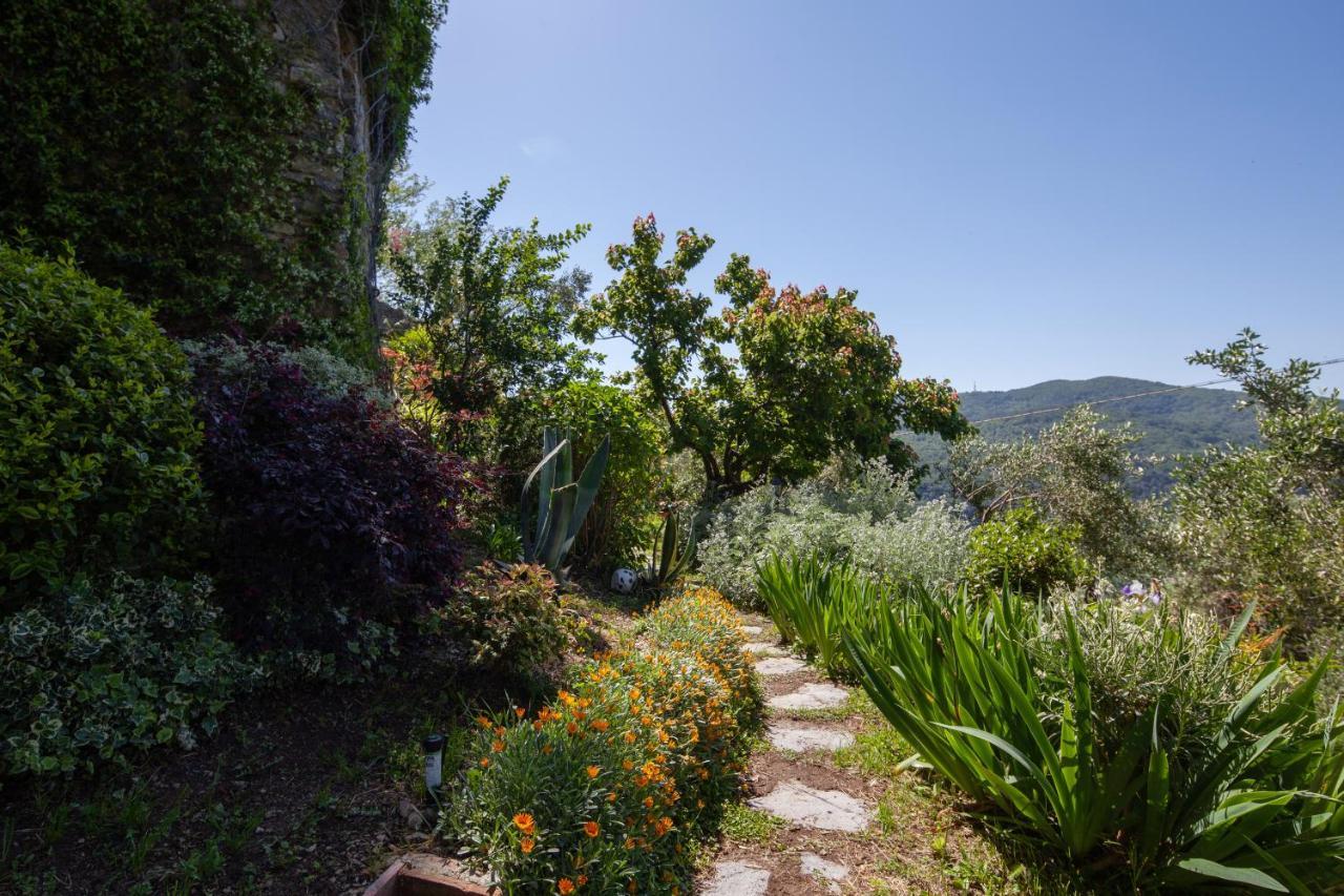Pietrantica - Affittacamere Con Giardino Nuova Apertura A Trebiano -Citr Eksteriør billede
