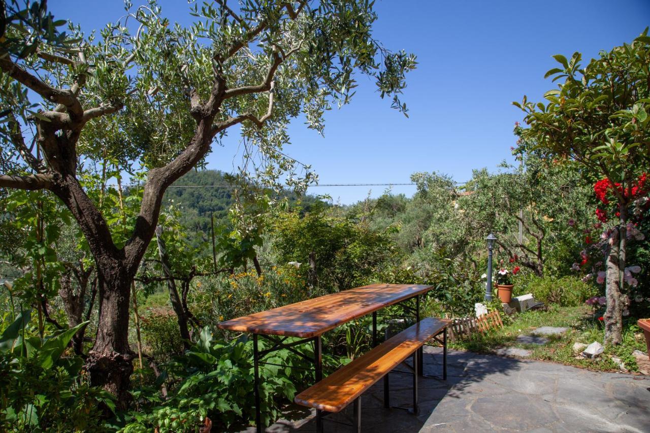 Pietrantica - Affittacamere Con Giardino Nuova Apertura A Trebiano -Citr Eksteriør billede