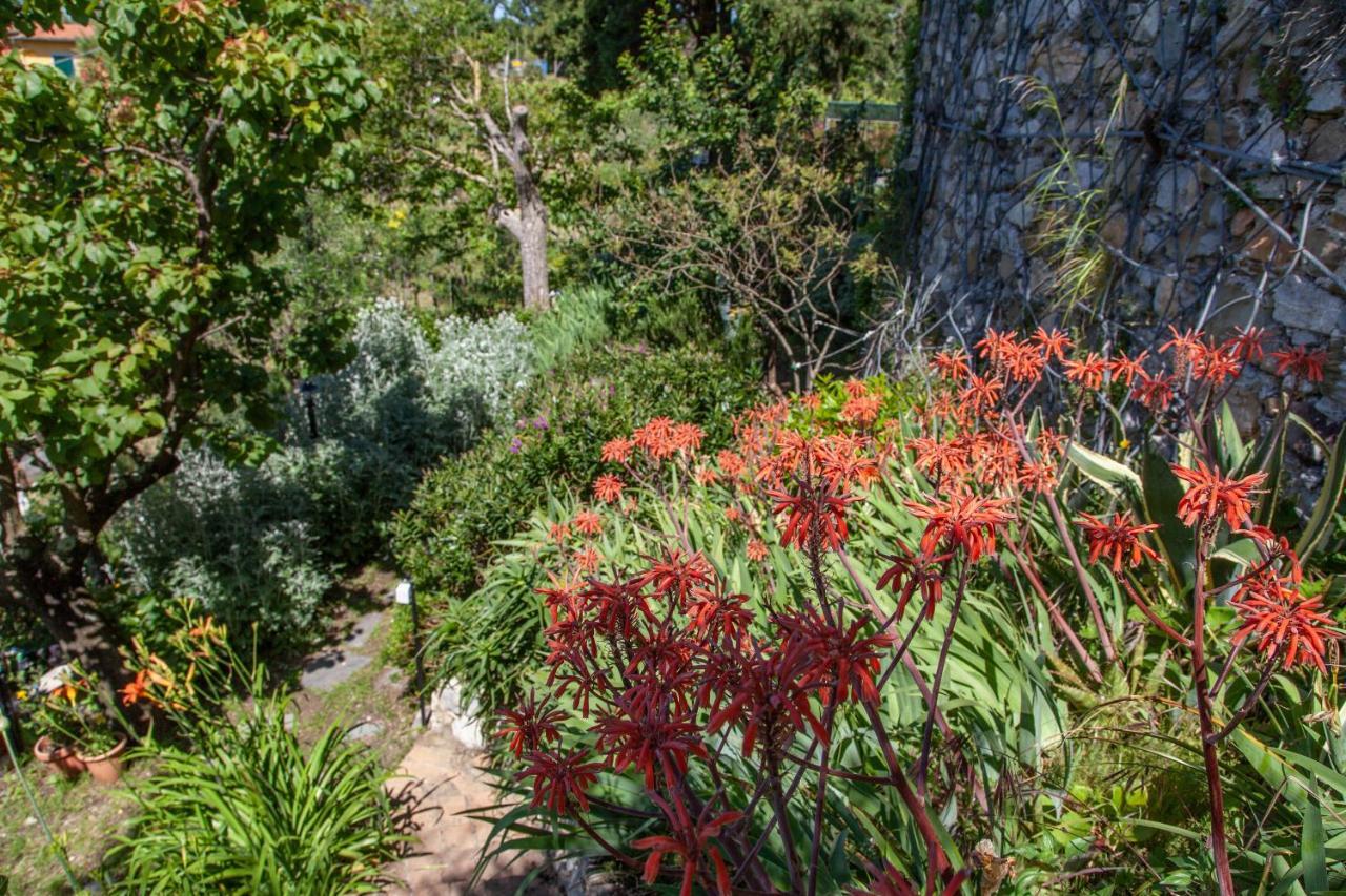 Pietrantica - Affittacamere Con Giardino Nuova Apertura A Trebiano -Citr Eksteriør billede