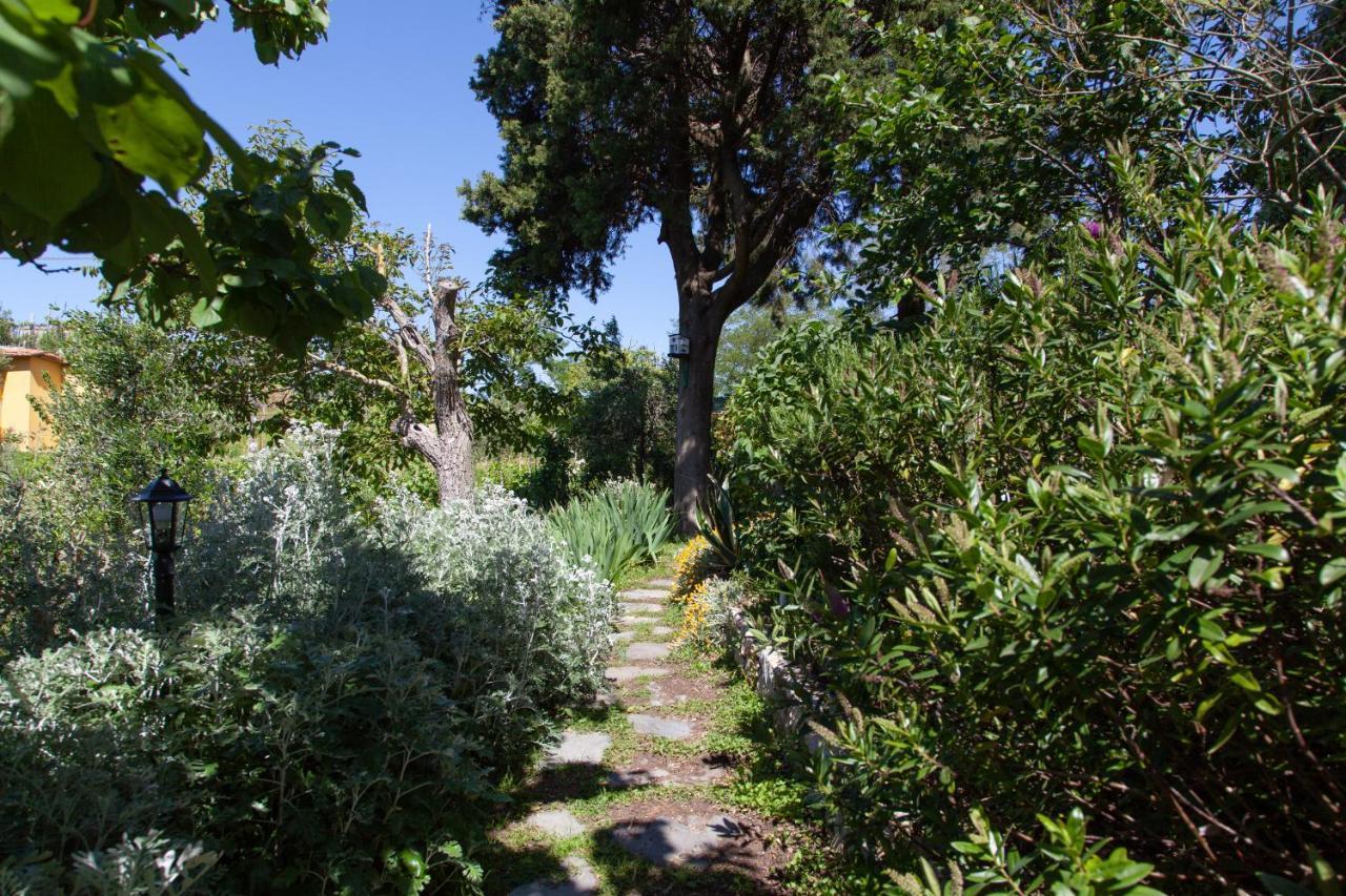 Pietrantica - Affittacamere Con Giardino Nuova Apertura A Trebiano -Citr Eksteriør billede