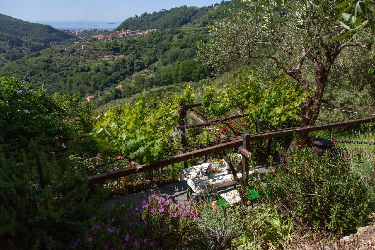 Pietrantica - Affittacamere Con Giardino Nuova Apertura A Trebiano -Citr Eksteriør billede